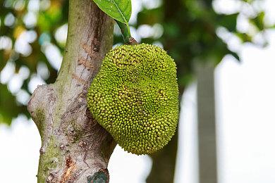 顽皮狗：将游戏带到PC是一个关键且变革性的时刻